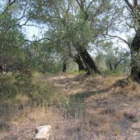 Земельный участок в Греции