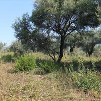 Земельный участок в Греции