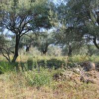 Земельный участок в Греции