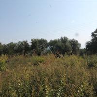 Земельный участок в Греции