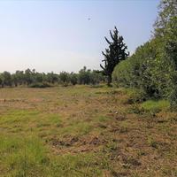Land plot in Greece