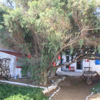 Другое в Греции, 76 кв.м.