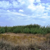 Земельный участок в Греции