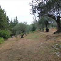 Land plot in Greece