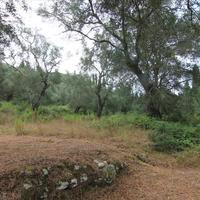Land plot in Greece