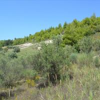 Земельный участок в Греции, 7000 кв.м.