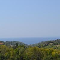 Земельный участок в Греции, 7000 кв.м.