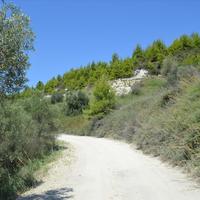 Земельный участок в Греции, 7000 кв.м.