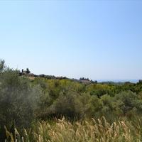 Земельный участок в Греции, 7000 кв.м.