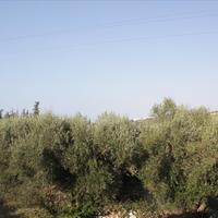 Other in Greece, 320 sq.m.