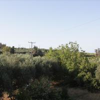 Other in Greece, 320 sq.m.