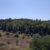 Бизнес-центр в Греции, 1100 кв.м.