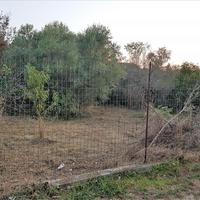 Land plot in Greece