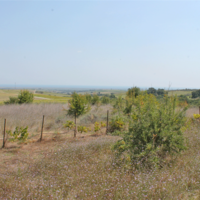 Other in Greece, 45 sq.m.