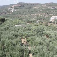 Вилла в Греции, 450 кв.м.