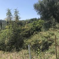 Land plot in Greece