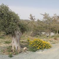 Земельный участок на Кипре