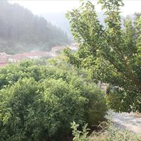 Земельный участок в Греции