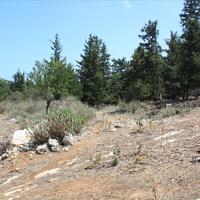 Земельный участок в Греции