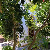 Other in Greece, 92 sq.m.