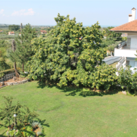 Other in Greece, 220 sq.m.