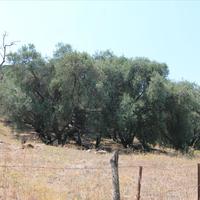 Земельный участок в Греции