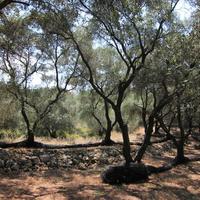 Земельный участок в Греции