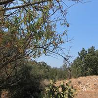 Земельный участок в Греции