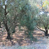 Земельный участок в Греции