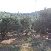 Land plot in Greece