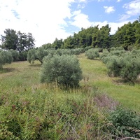 Земельный участок в Греции