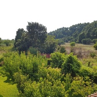 Другое в Греции, 305 кв.м.