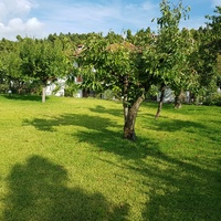 Другое в Греции, 305 кв.м.