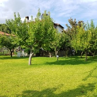 Другое в Греции, 305 кв.м.