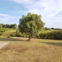 Другое в Греции, 110 кв.м.