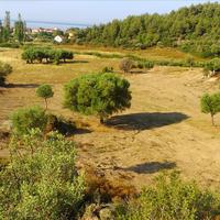 Land plot in Greece