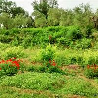 Земельный участок в Греции, Ионические острова