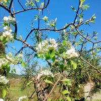 Земельный участок в Греции, Ионические острова