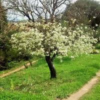 Земельный участок в Греции, Ионические острова