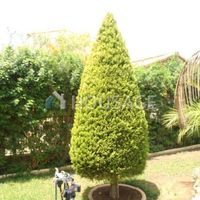 Вилла на Кипре, Лимасол, 225 кв.м.