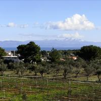 Other in Greece, 125 sq.m.