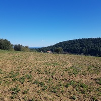 Land plot in Greece