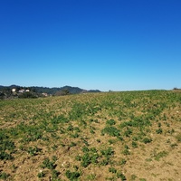 Land plot in Greece