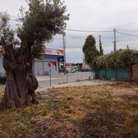 Land plot in Greece