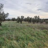Land plot in Greece