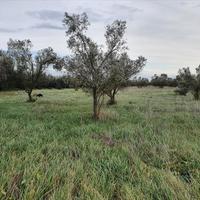 Land plot in Greece