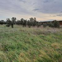 Land plot in Greece