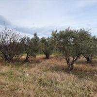 Land plot in Greece