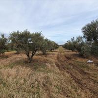 Land plot in Greece