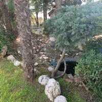 Другое в Греции, 175 кв.м.